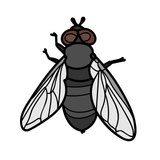 Flying Fly